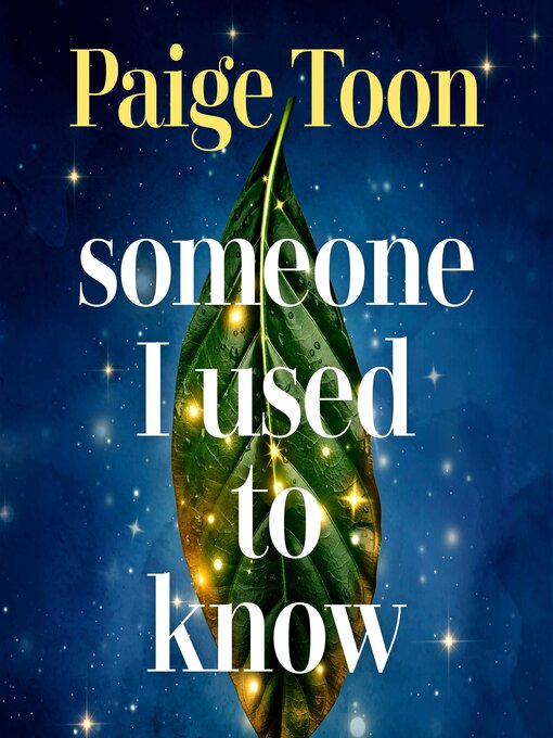 Title details for Someone I Used to Know by Paige Toon - Wait list